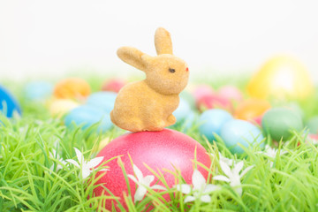 Hase bewacht Ostereier