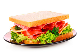 Sandwich isolated on white