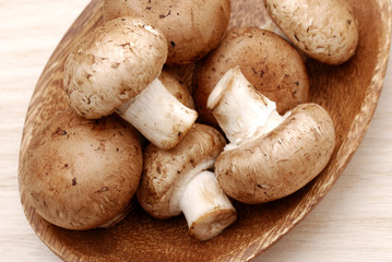 マッシュルーム