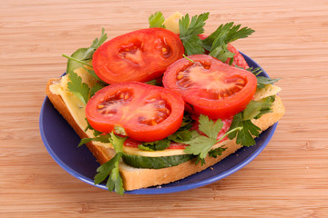 Sandwich  isolated on white