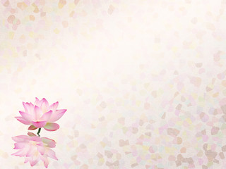 lotus with set of abstract painted background