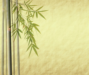 bamboo on old grunge antique paper texture .