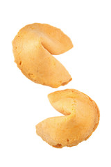 Fortune Cookie