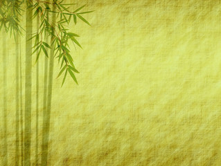 Silhouette of branches of a bamboo on paper background .