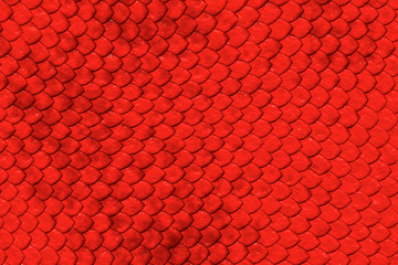 Red Skin Texture