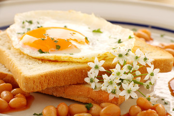 Egg And Garlic Chives