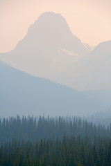 Fototapeta premium Forest Fire smoke