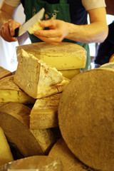 Cheese