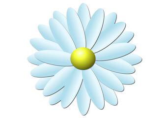 fleur un blanc bleu