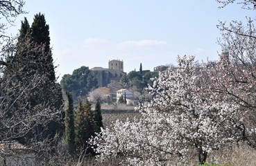 cucuron 18