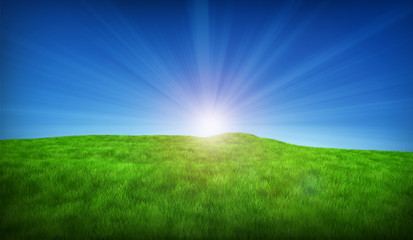 Obraz na płótnie Canvas Green meadow on a sunny day