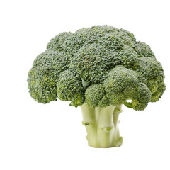 Fresh Raw Green Broccoli