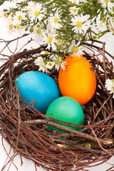 Easter eggs in a nest