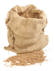 sack of wheat grains