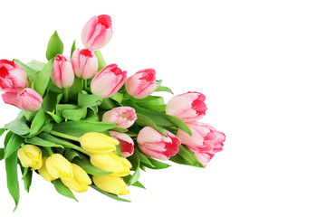 Tulip Bouquet