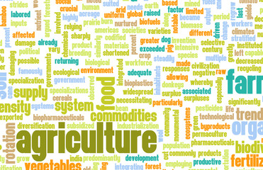 Fototapeta premium Agriculture Industry