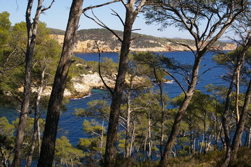 calanque et végétation