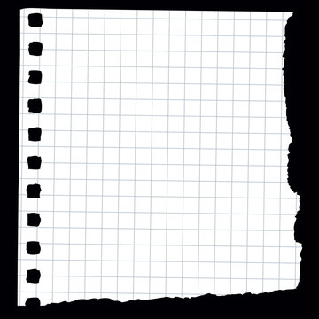 Spiral Notebook Paper - 3