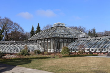 Fototapeta premium Botanischer Garten