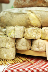 cheese