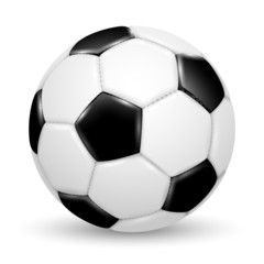 Fototapeta premium soccer/football