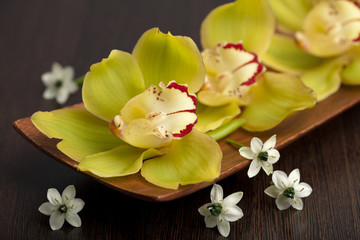 orchid flowers in wooden bowl