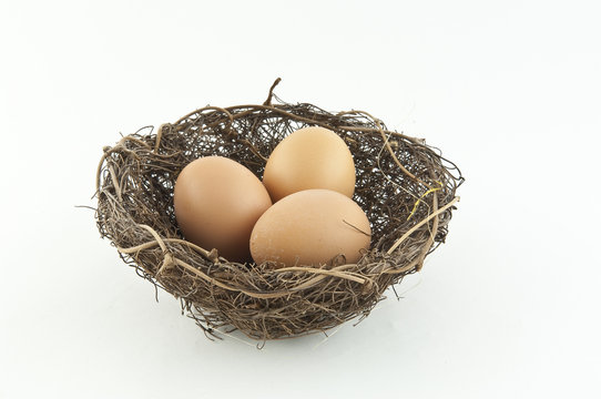 oeuf et nid