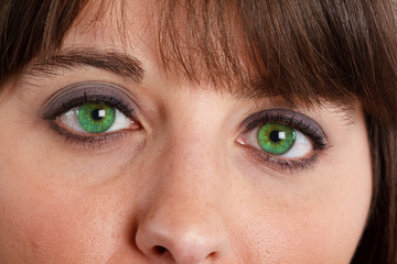 Fototapeta premium Green eyes