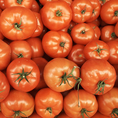 vivid red tomatoes closeup, background