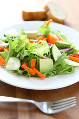 Garden Salad