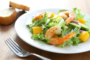 Shrimp and Mango Salad