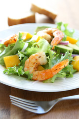 Shrimp and Mango Salad