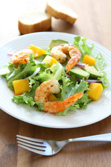 Shrimp and Mango Salad