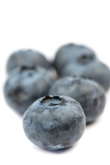 Blueberries - soft focus
