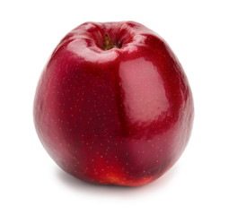 Ripe and juicy red apple a shank downwards isolated on a white