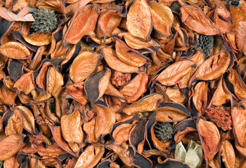 Background from jasmine peel