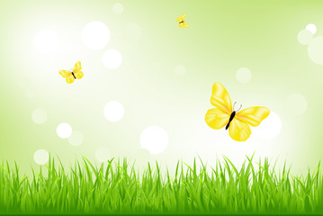 Green Grass And Yellow Butterflies