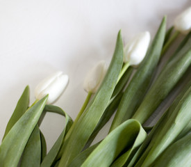 Le bouquet de blanche
