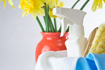 Sprng Cleaning