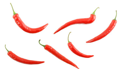 Red hot chili pepper isolated on a white background