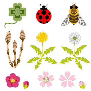 spring icon