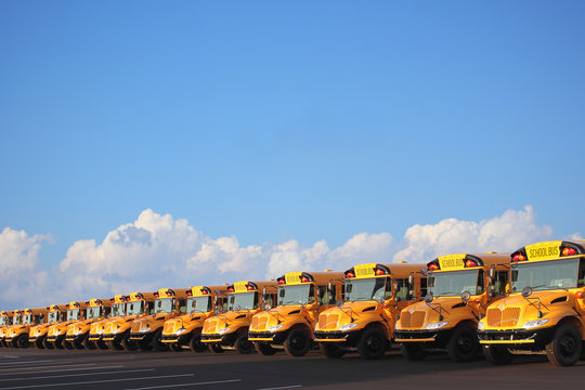 Row Of School Buses