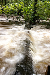 Hibernia Park flooding