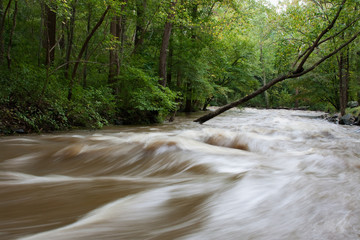Hibernia Park flooding