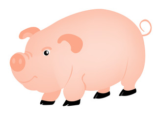 Pets animal pig
