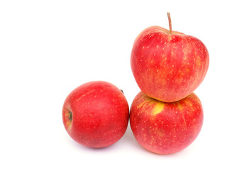 Fototapeta na wymiar Apple varieties CHAMPION