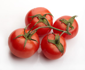 tomato