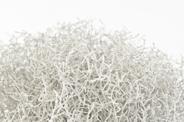 Branchage conception