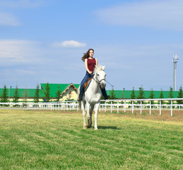 girl embraces a white horse