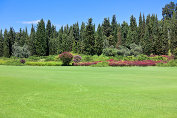 Naklejka premium Summer park